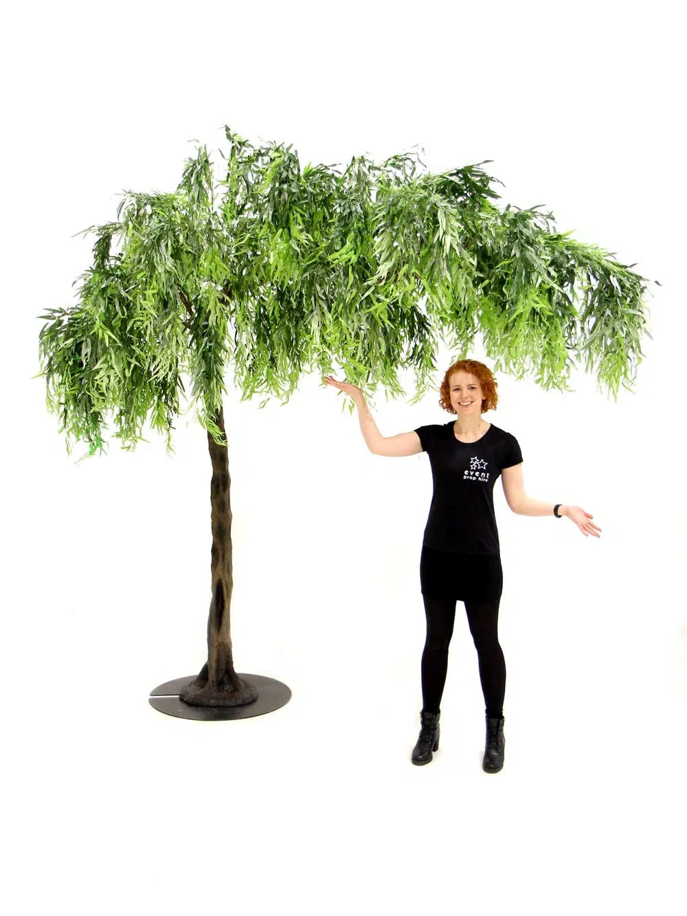 SN5241 Weeping Willow Canopy Tree (3m) _event_prop_hire_125