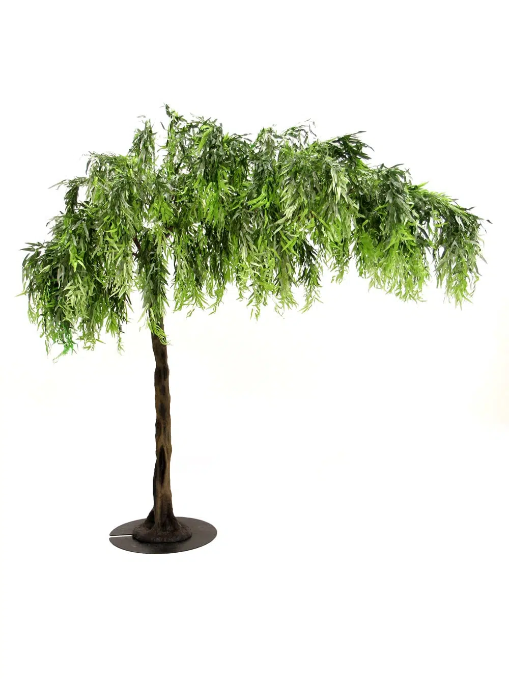 SN5241 Weeping Willow Canopy Tree (3m) _event_prop_hire_126