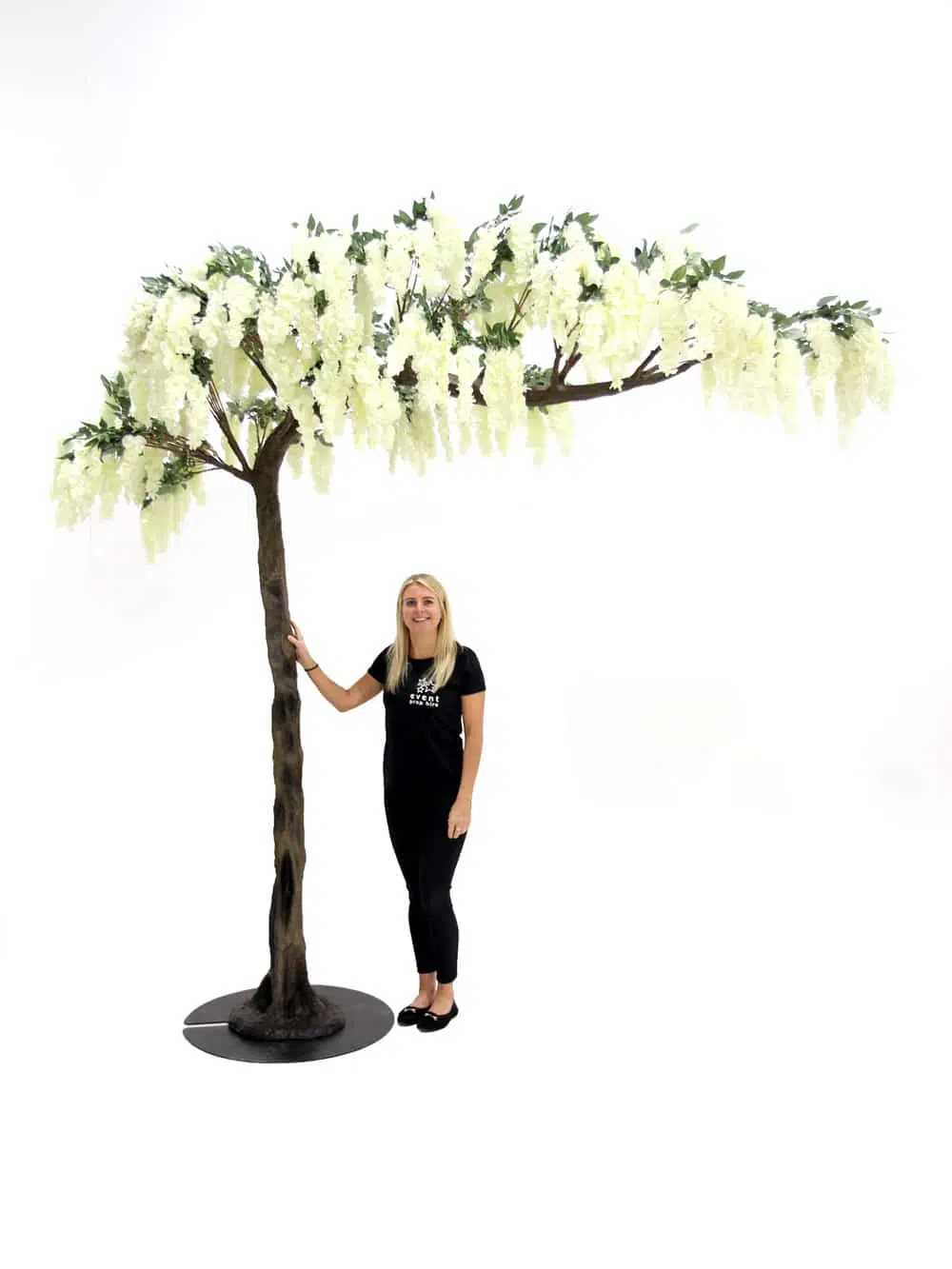 SN5242 Wisteria Flower Cluster Canopy Tree (3m) _event_prop_hire_035