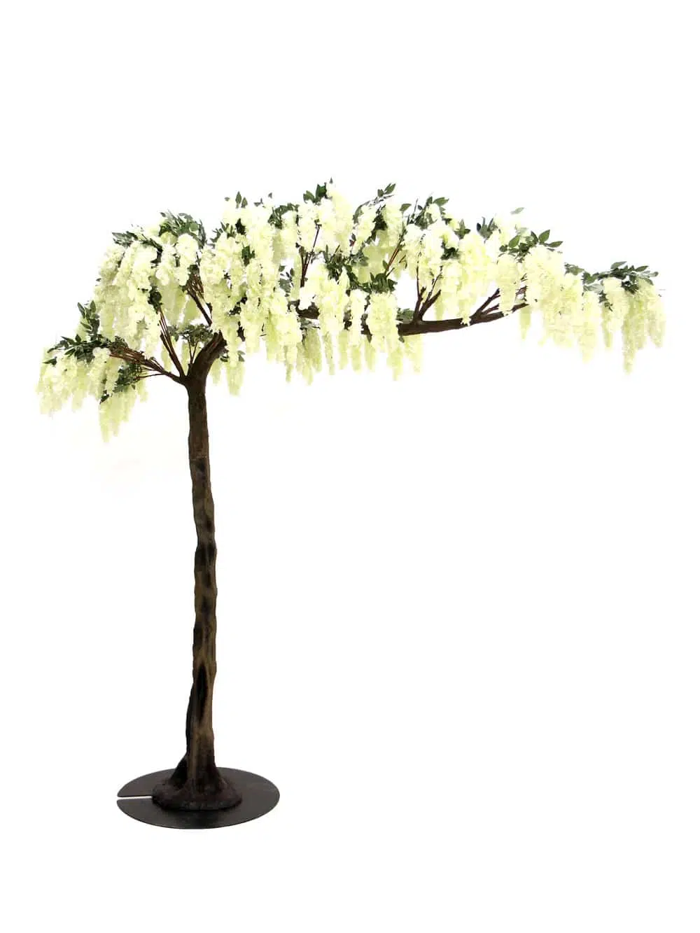 SN5242 Wisteria Flower Cluster Canopy Tree (3m) _event_prop_hire_036