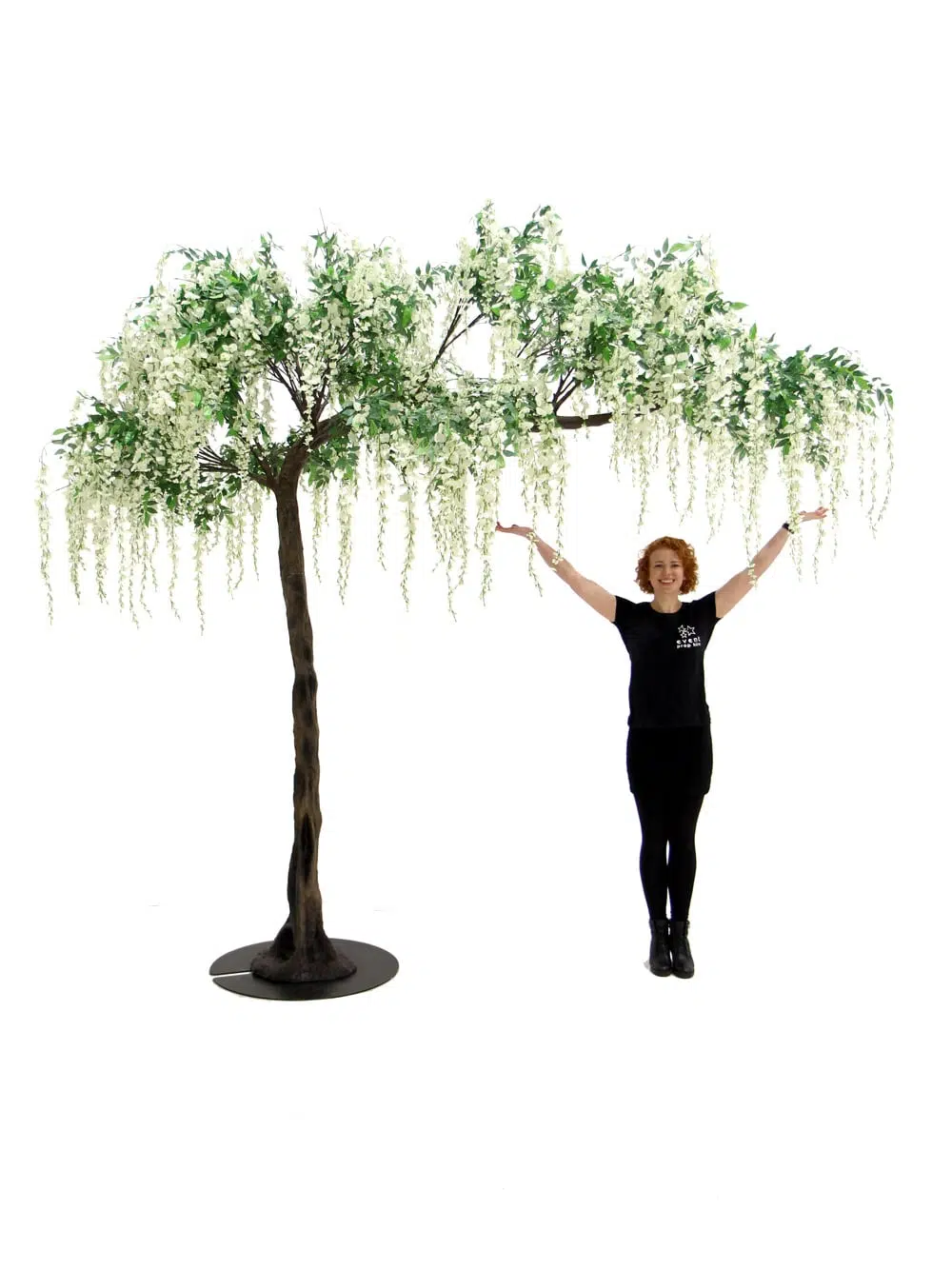 SN5243 Wisteria Long Flower Canopy Tree (3.4m) _event_prop_hire_053