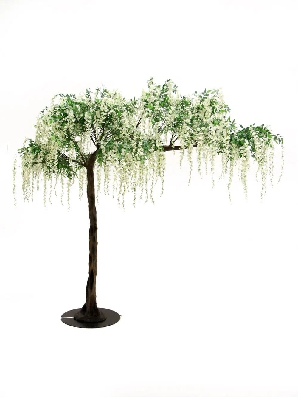 SN5243 Wisteria Long Flower Canopy Tree (3.4m) _event_prop_hire_054