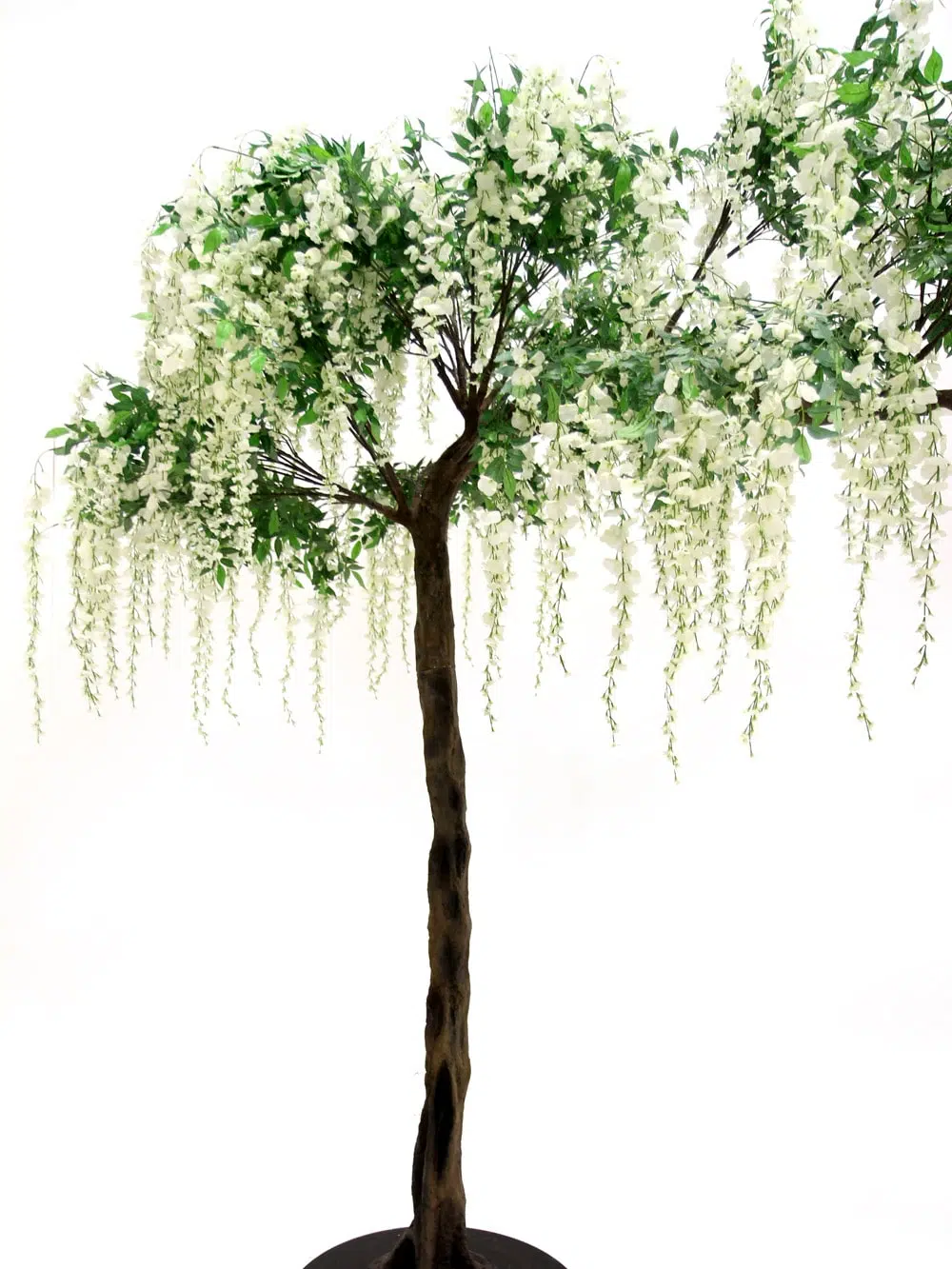 SN5243 Wisteria Long Flower Canopy Tree (3.4m) _event_prop_hire_055
