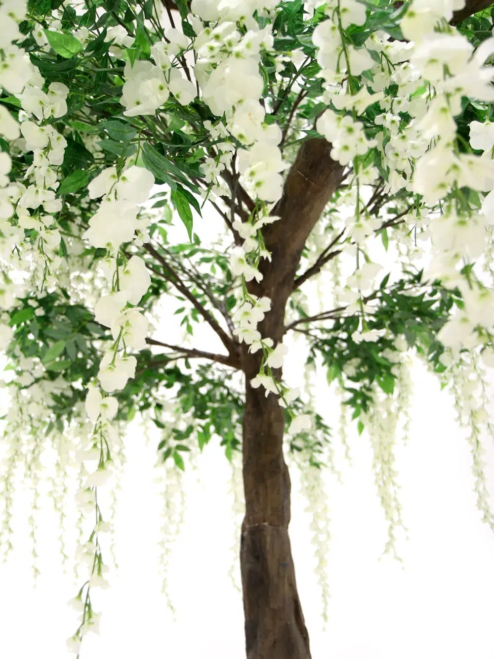 SN5243 Wisteria Long Flower Canopy Tree (3.4m) _event_prop_hire_056