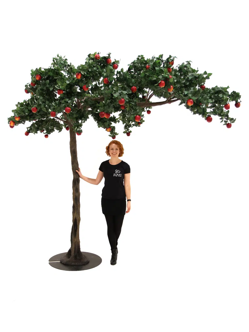 SN5244 Apple Canopy Tree _event_prop_hire_016