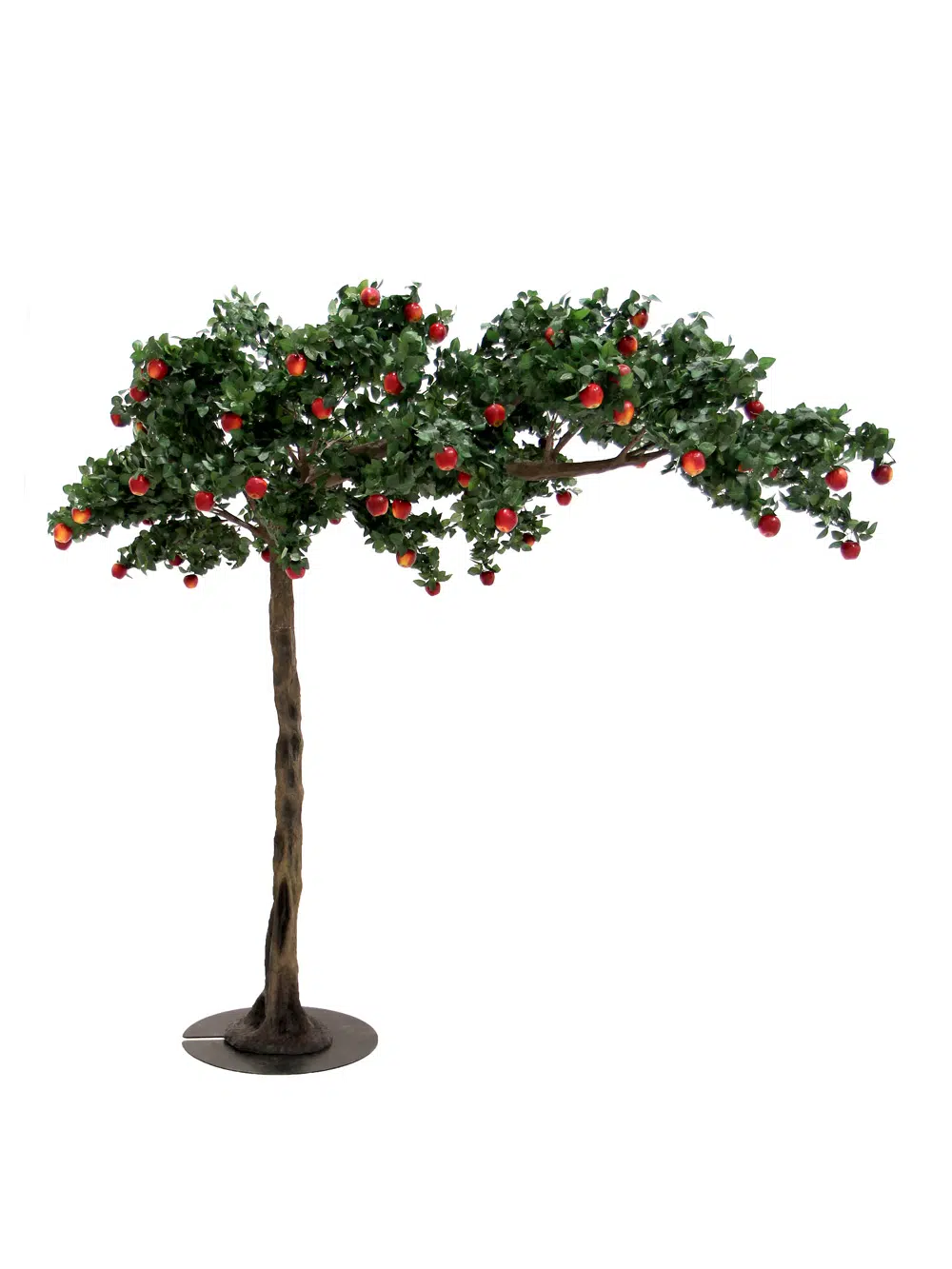 SN5244 Apple Canopy Tree _event_prop_hire_017