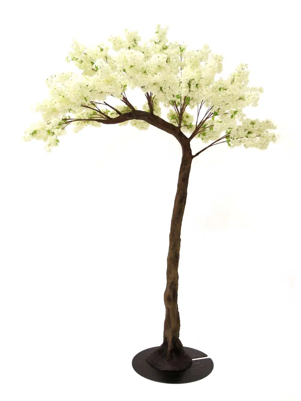 SN5246 Cream Cherry Blossom Half Arch Tree (3.5m) _event_prop_hire_083