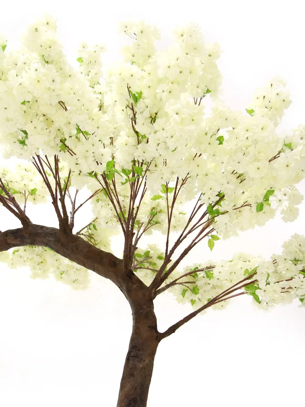 SN5246 Cream Cherry Blossom Half Arch Tree (3.5m) _event_prop_hire_084