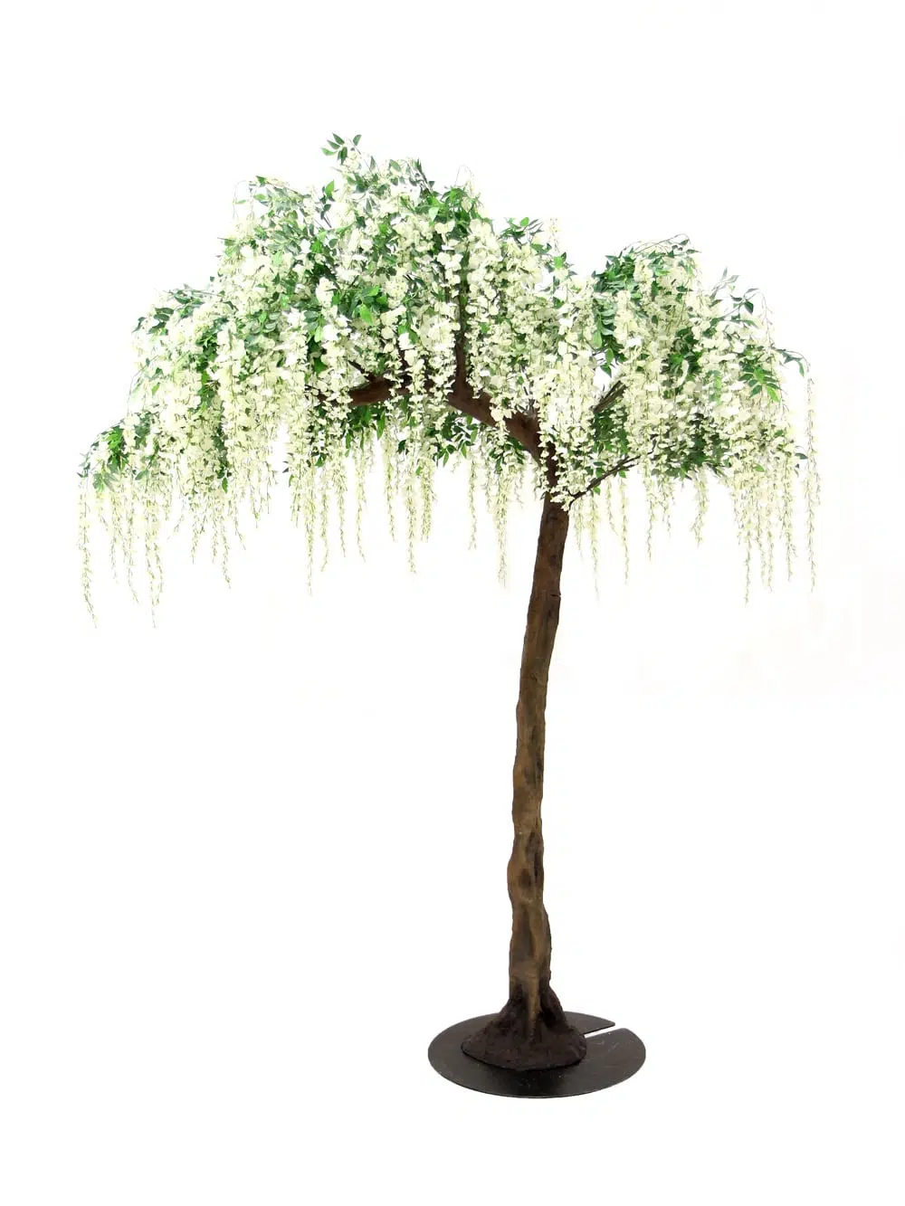 SN5248 Wisteria Long Flower Half Arch Tree (3.3m) _event_prop_hire_044