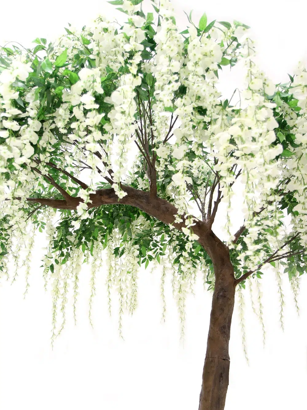 SN5248 Wisteria Long Flower Half Arch Tree (3.3m) _event_prop_hire_045