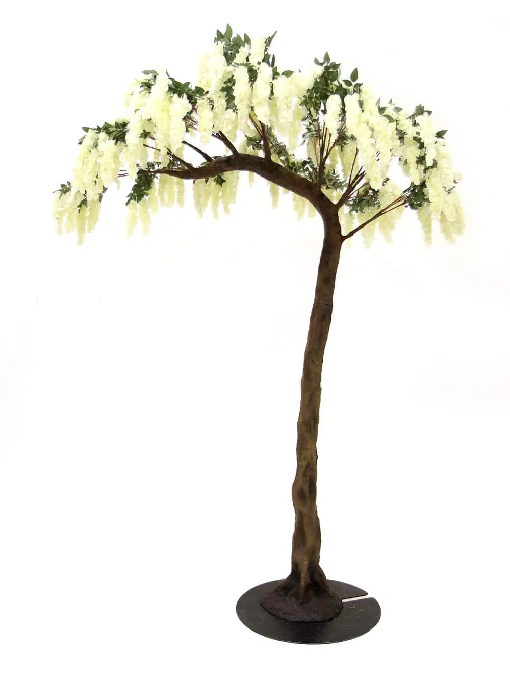 SN5249 Wisteria Flower Cluster Tree (3.2m) _event_prop_hire_027