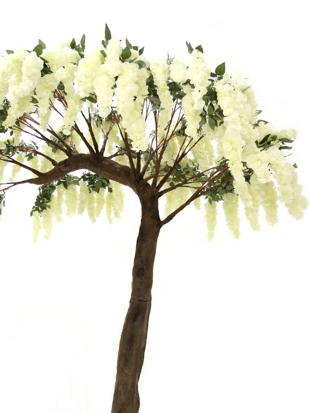 SN5249 Wisteria Flower Cluster Tree (3.2m) _event_prop_hire_028