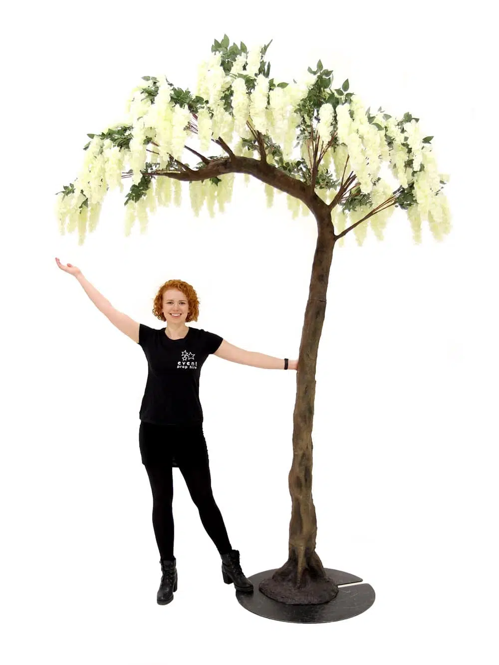 SN5249 Wisteria Flower Cluster Tree (3.2m) _event_prop_hire_029