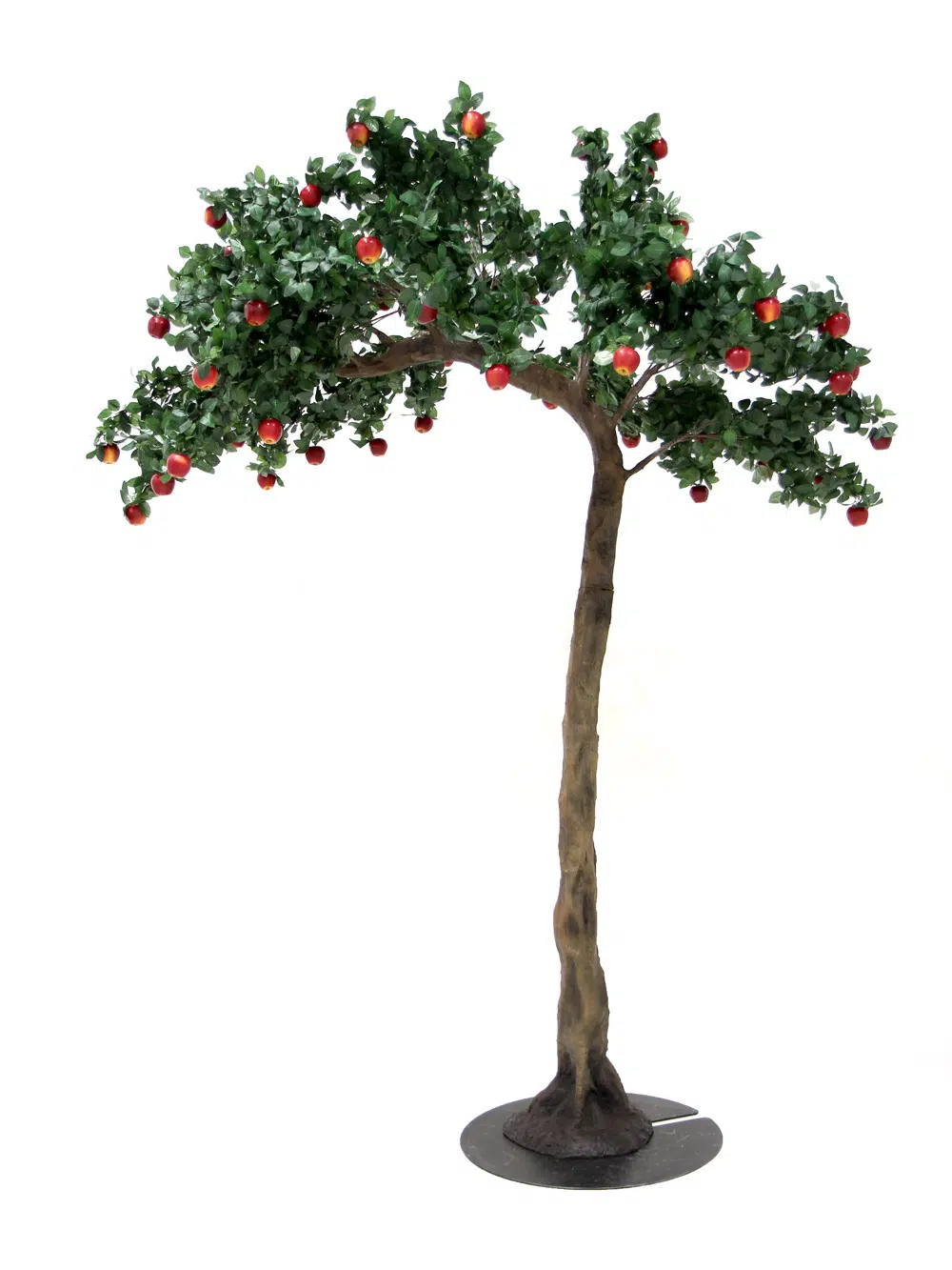 SN5250 Apple Half Arch Tree _event_prop_hire_009