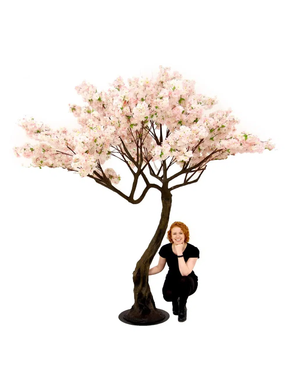 SN5251 Pink Cherry Blossom Twisted Trunk Tree (2.9m) _event_prop_hire_068