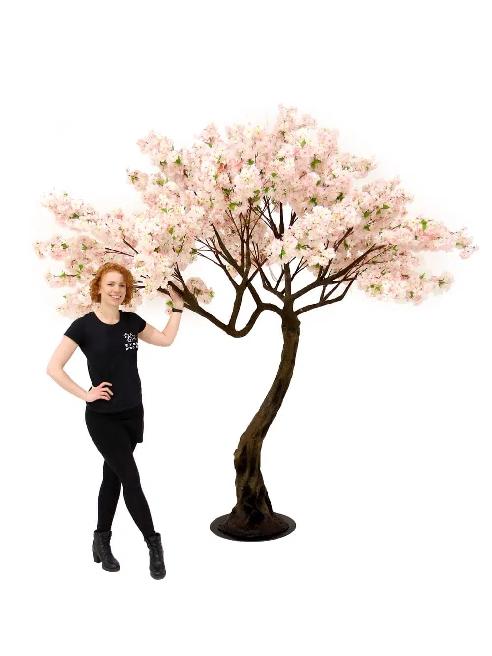 SN5251 Pink Cherry Blossom Twisted Trunk Tree (2.9m) _event_prop_hire_069