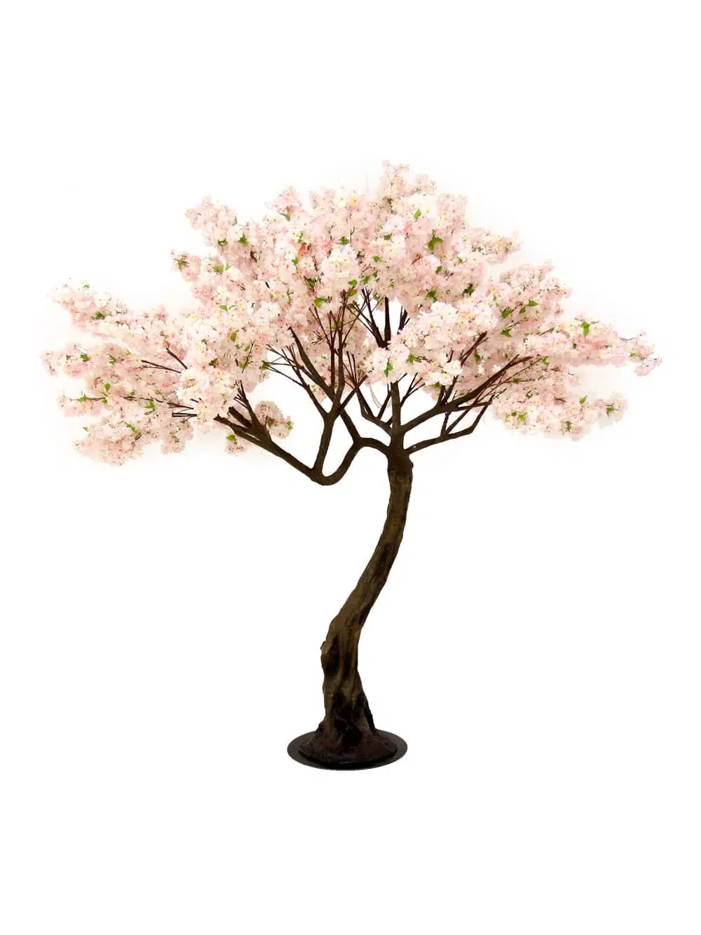 SN5251 Pink Cherry Blossom Twisted Trunk Tree (2.9m) _event_prop_hire_070