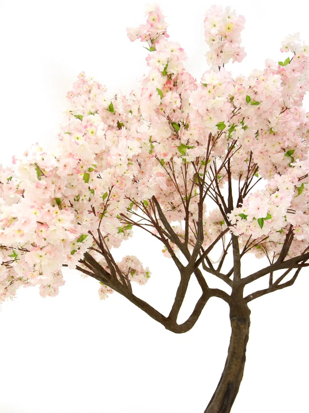 SN5251 Pink Cherry Blossom Twisted Trunk Tree (2.9m) _event_prop_hire_071