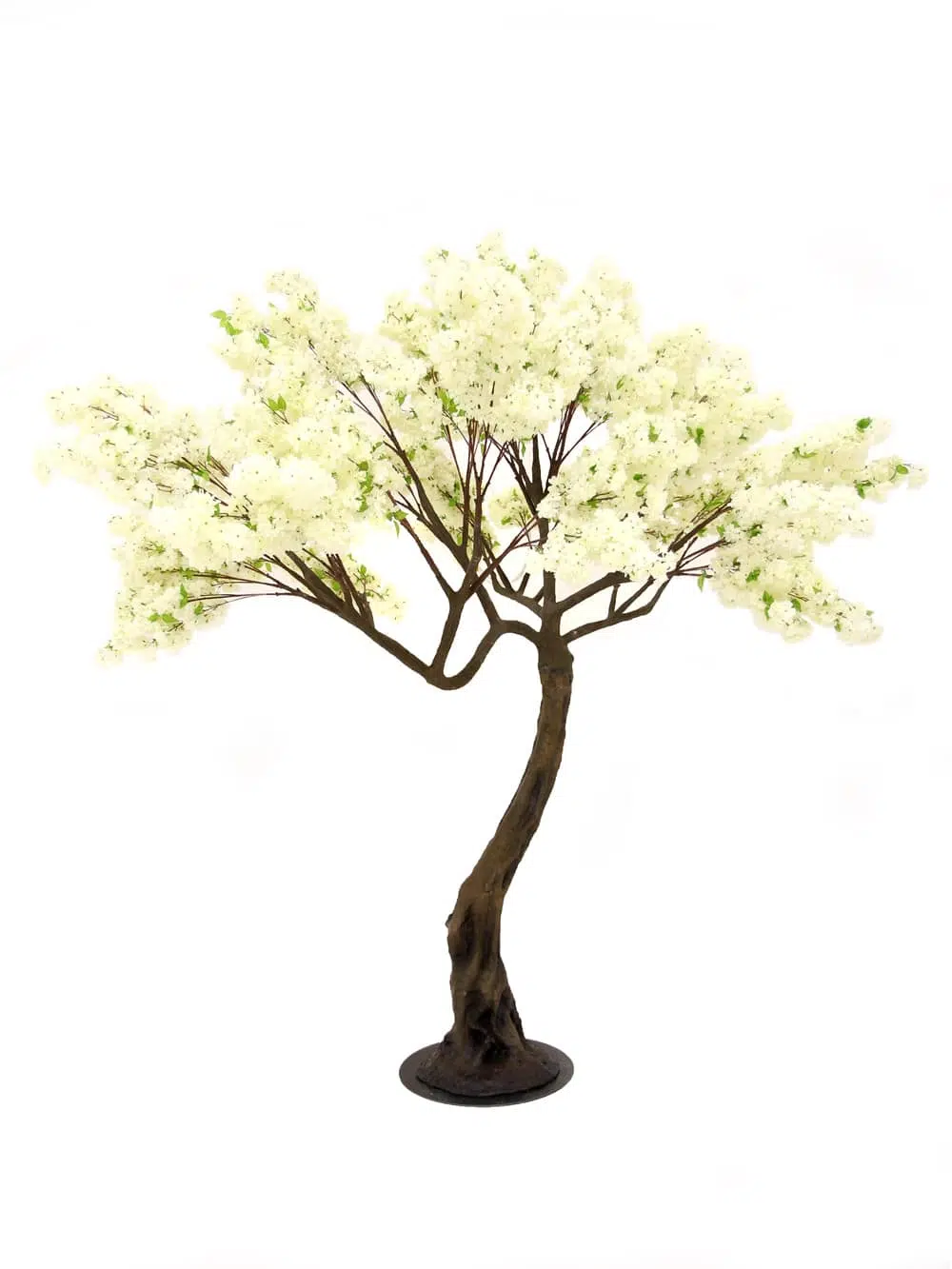 SN5252 Cream Cherry Blossom Twisted Trunk Tree (2.9m) _event_prop_hire_090