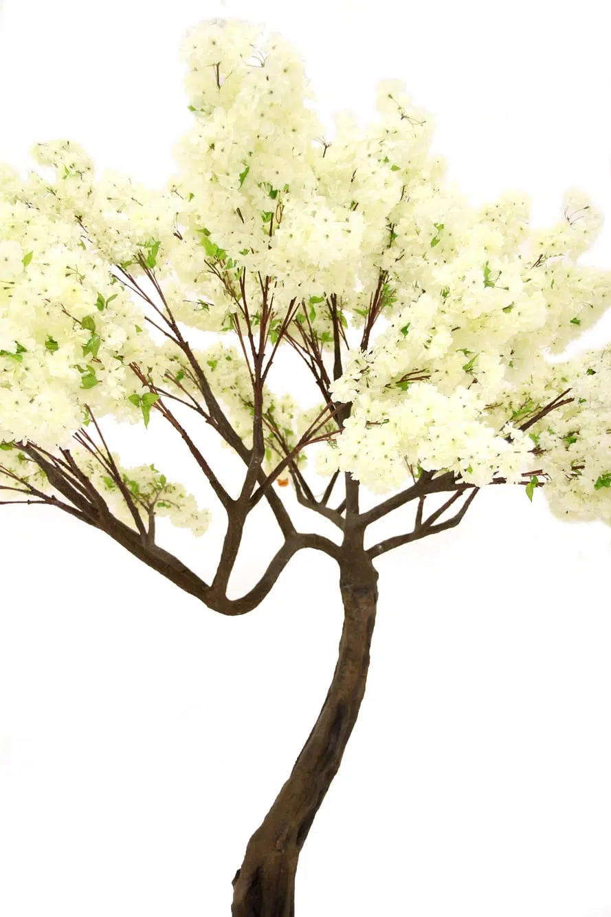 SN5252 Cream Cherry Blossom Twisted Trunk Tree (2.9m) _event_prop_hire_091