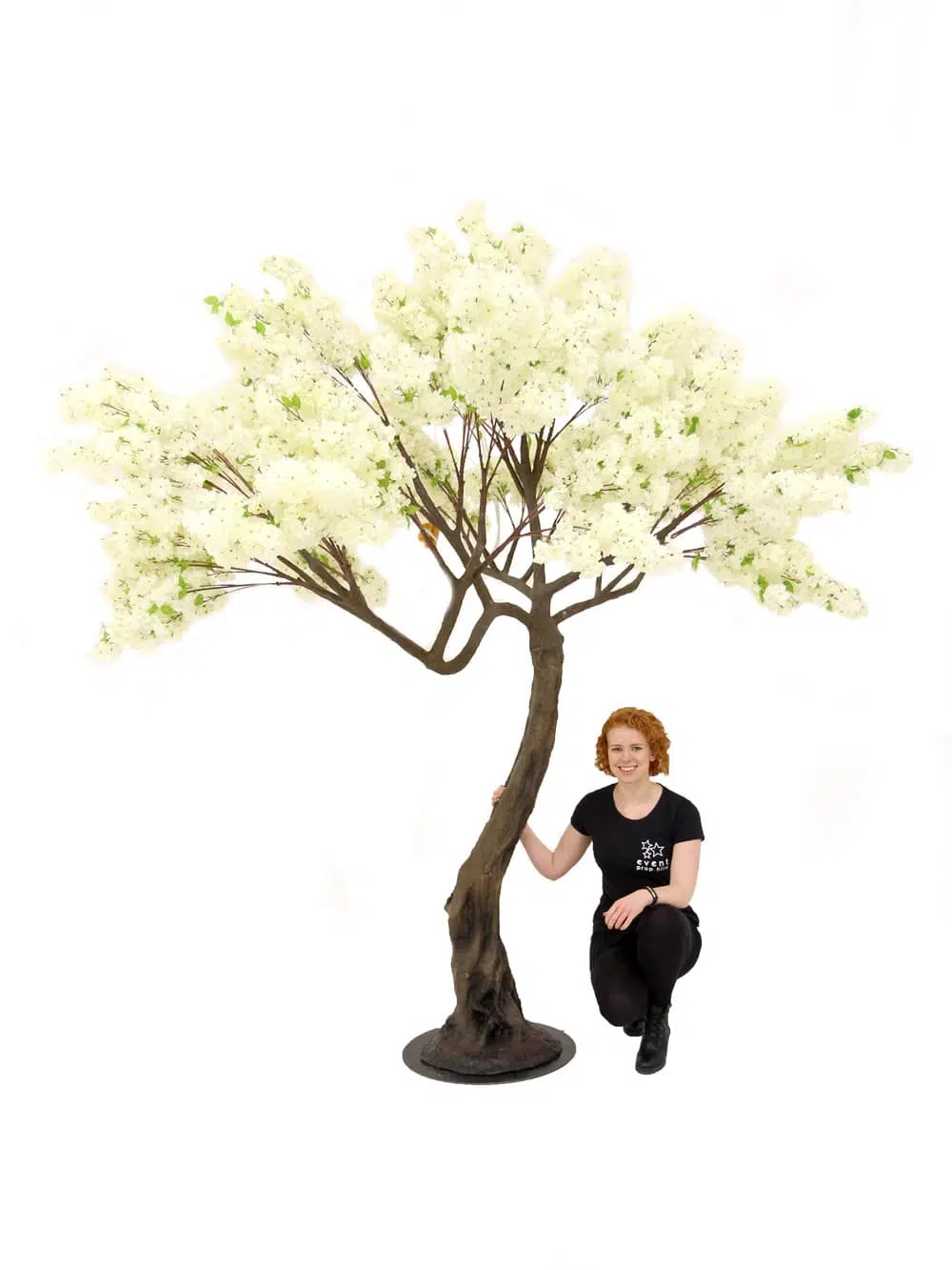 SN5252 Cream Cherry Blossom Twisted Trunk Tree (2.9m) _event_prop_hire_093