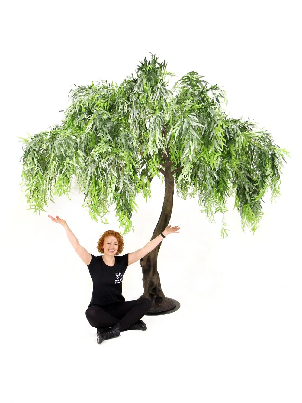SN5253 Weeping Willow Twisted Trunk Tree (3m) _event_prop_hire_113