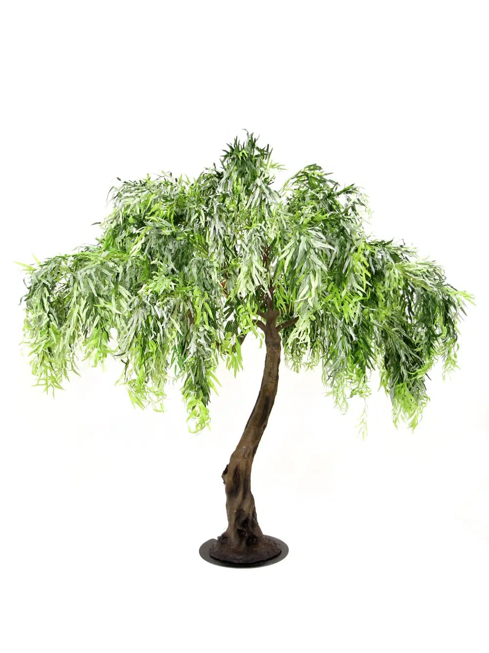 SN5253 Weeping Willow Twisted Trunk Tree (3m) _event_prop_hire_114