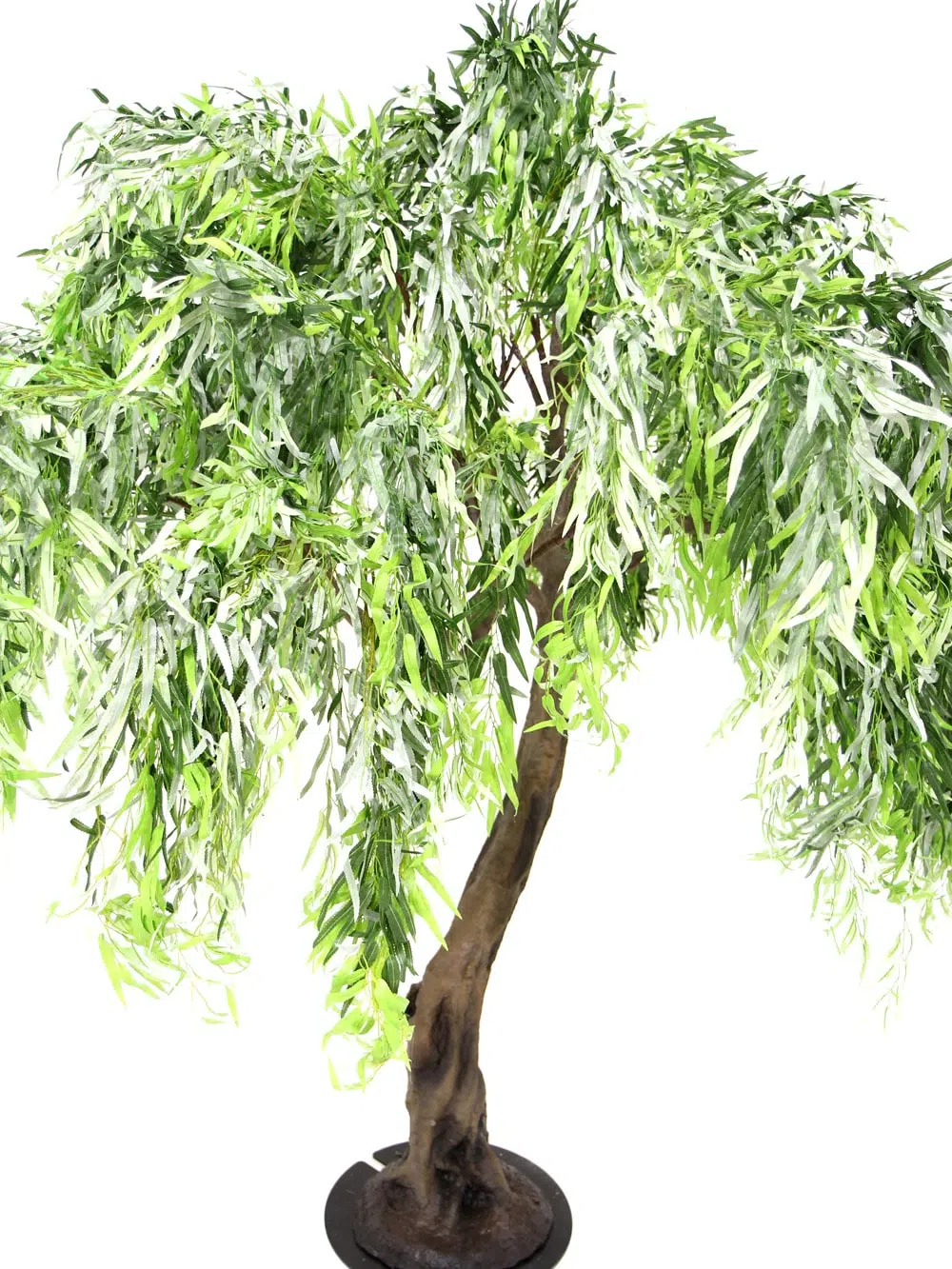 SN5253 Weeping Willow Twisted Trunk Tree (3m) _event_prop_hire_115