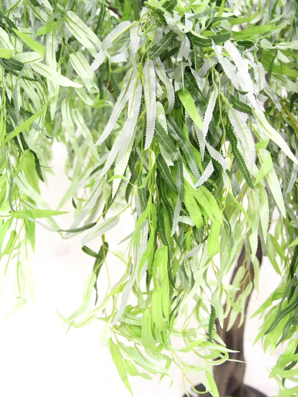 SN5253 Weeping Willow Twisted Trunk Tree (3m) _event_prop_hire_116