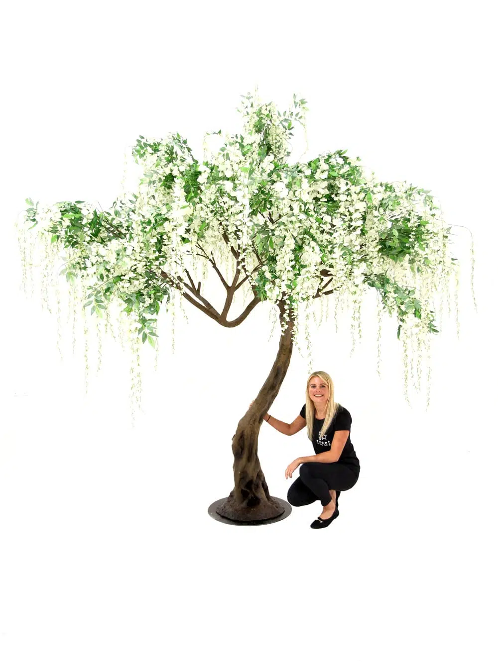 SN5254 Wisteria Long Flower Twisted Tree Trunk (3.2m) _event_prop_hire_050