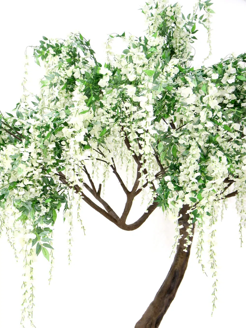 SN5254 Wisteria Long Flower Twisted Tree Trunk (3.2m) _event_prop_hire_052