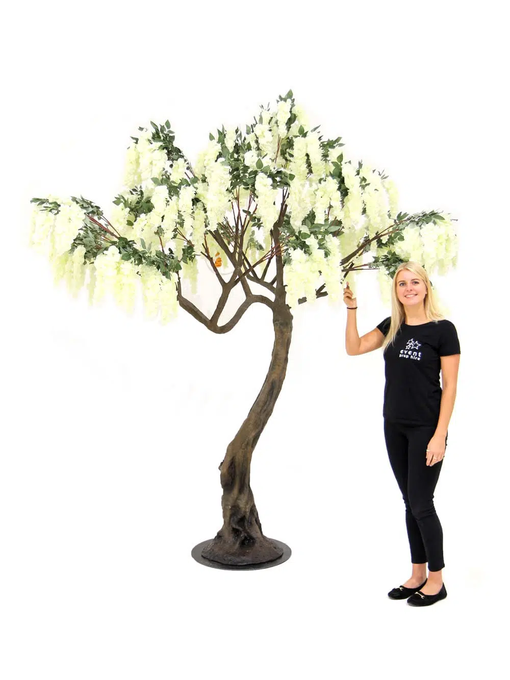 SN5255 Wisteria Flower Cluster Twisted Trunk Tree (2.8m) _event_prop_hire_030