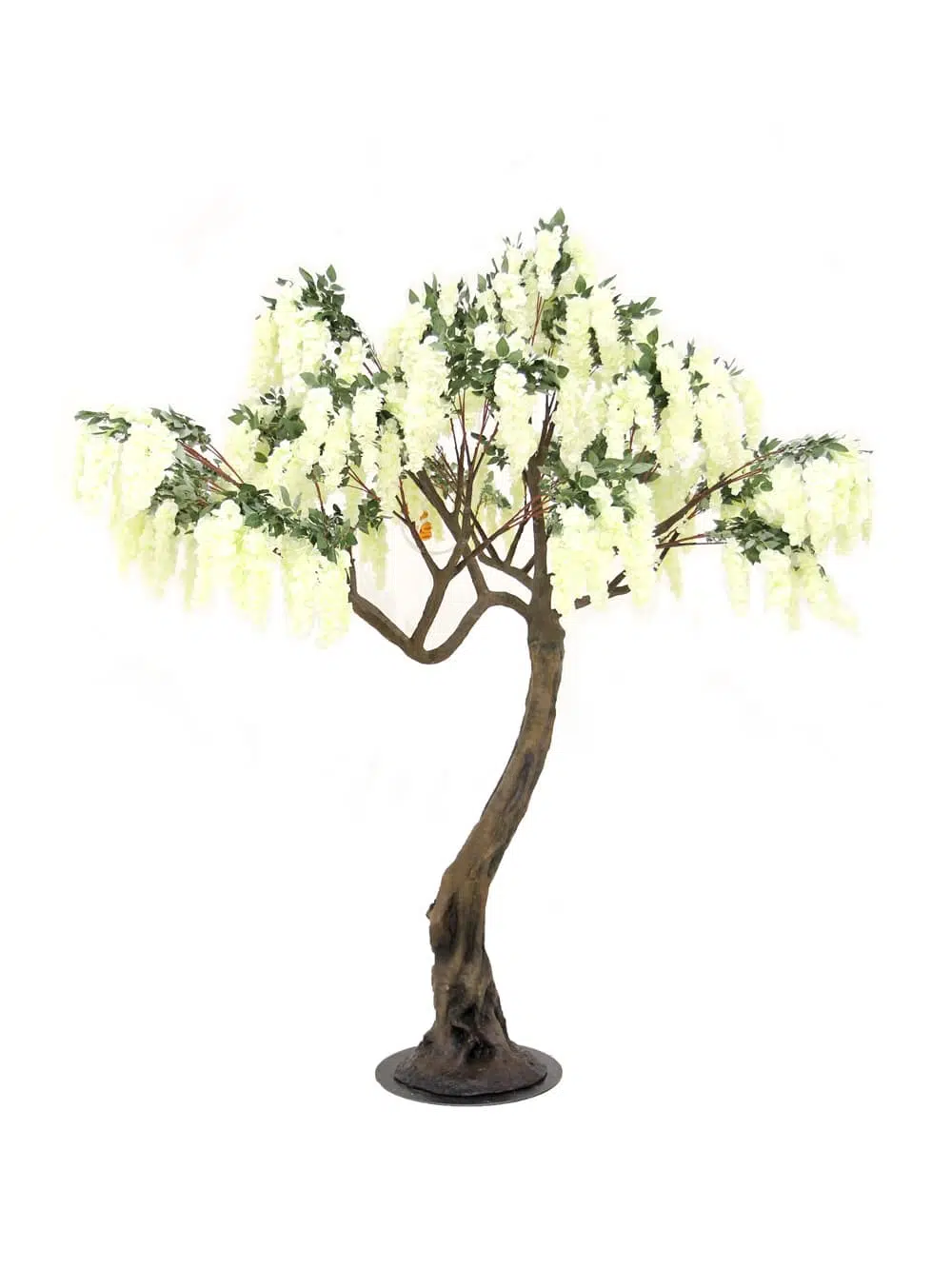 SN5255 Wisteria Flower Cluster Twisted Trunk Tree (2.8m) _event_prop_hire_031