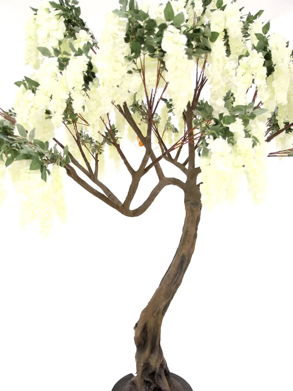 SN5255 Wisteria Flower Cluster Twisted Trunk Tree (2.8m) _event_prop_hire_032