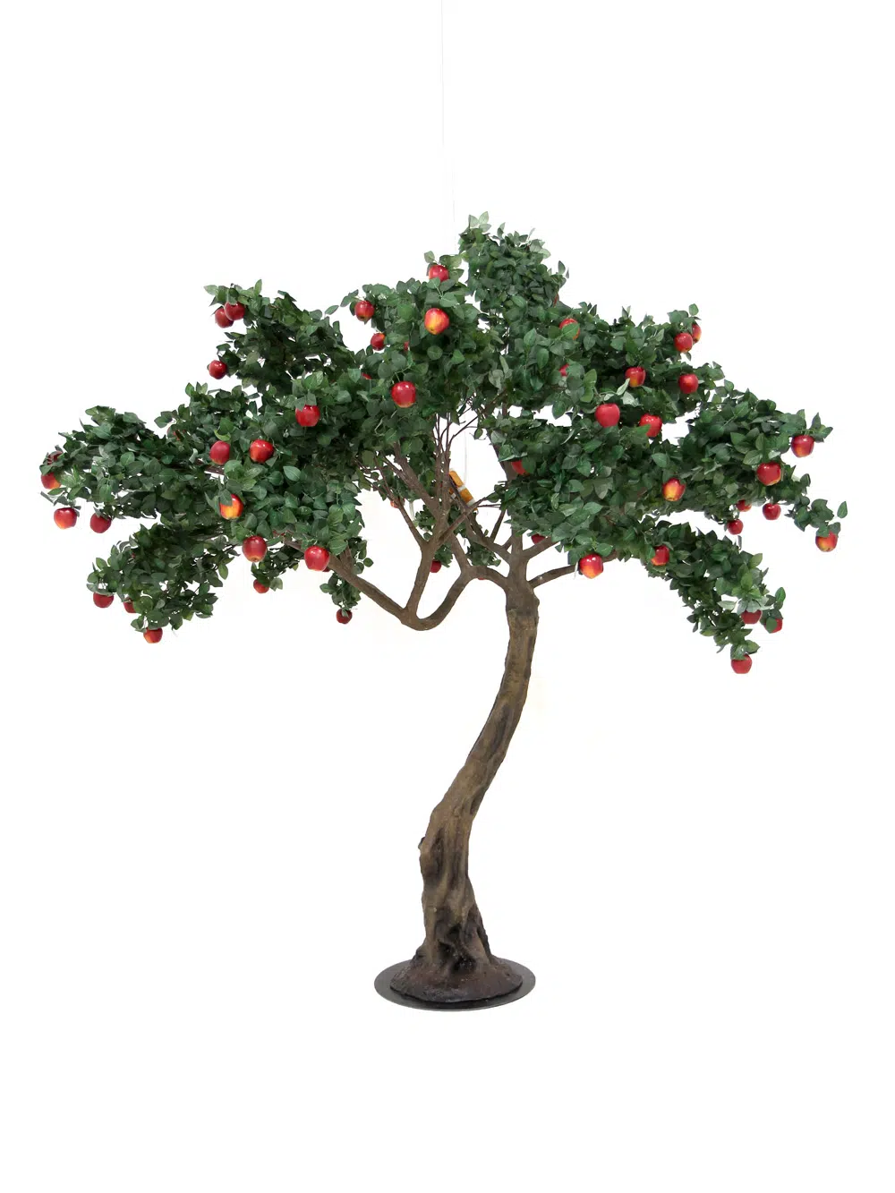 SN5256 Apple Twisted Trunk Tree _event_prop_hire_014