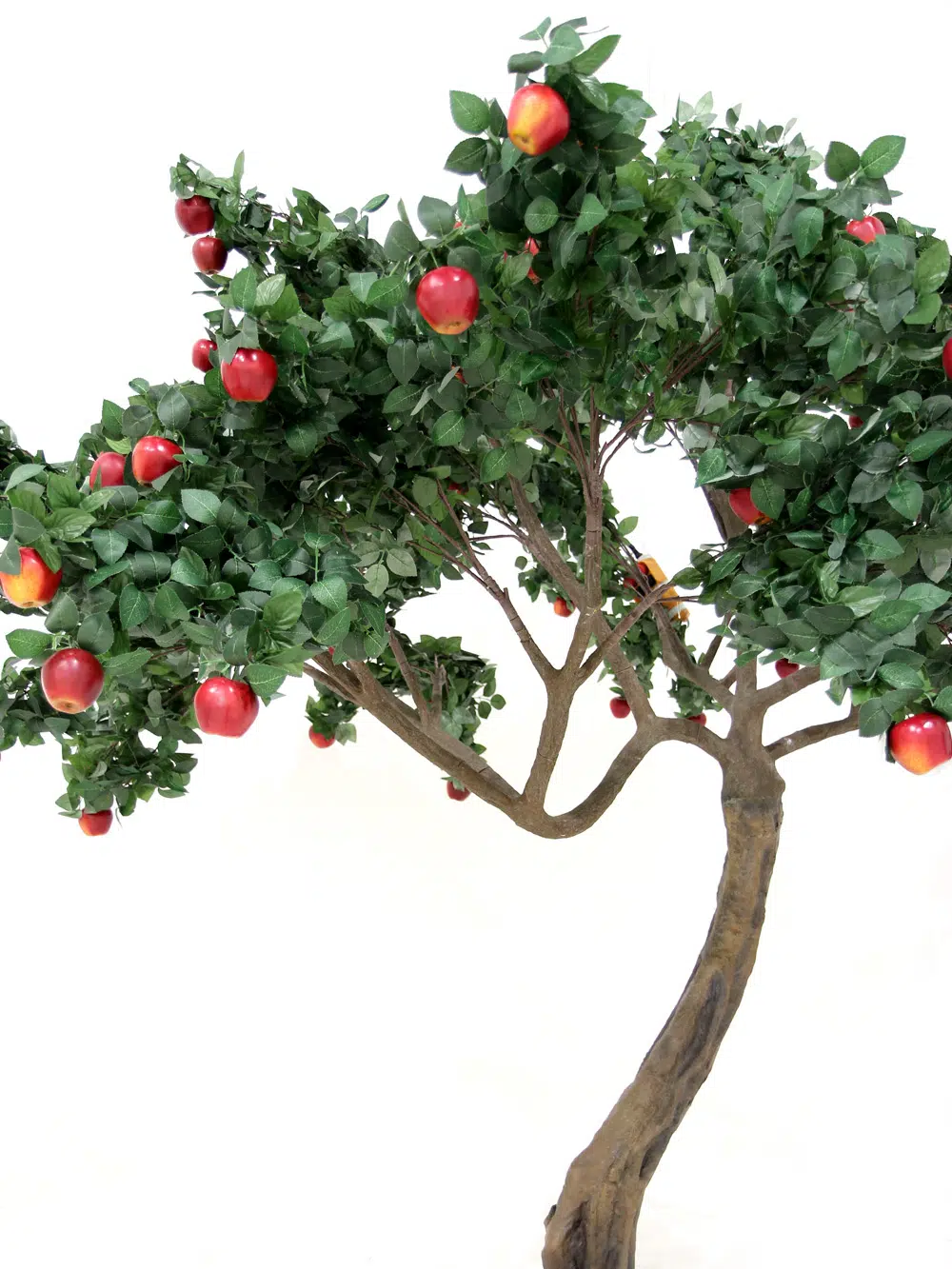 SN5256 Apple Twisted Trunk Tree _event_prop_hire_015