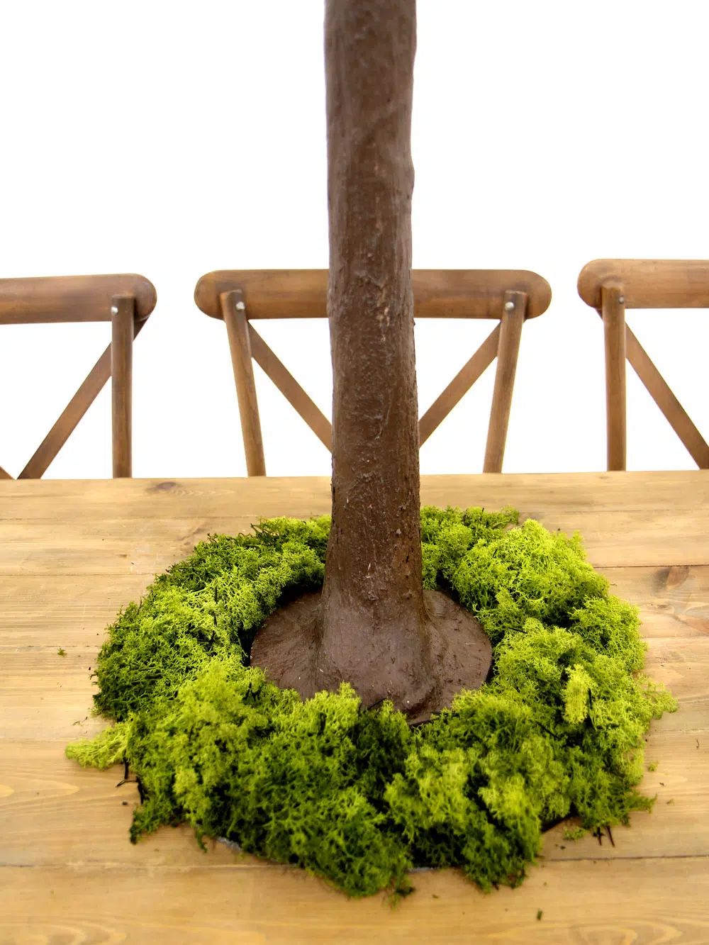 SN5257 - SN6729_Table Top Tree - Base Options_
