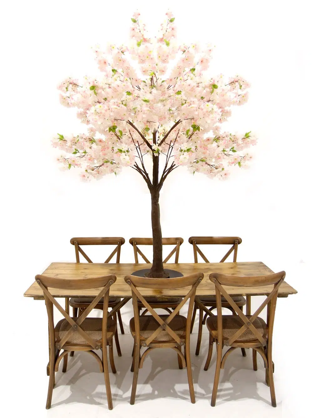 SN5257_Table Top Tree - Pink Cherry Blossom_ (2)