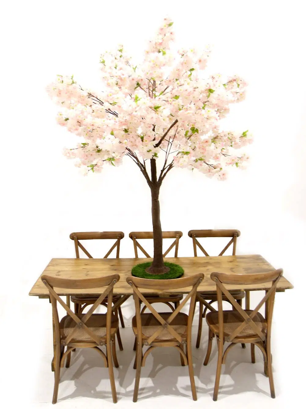 SN5257_Table Top Tree - Pink Cherry Blossom_ (3)