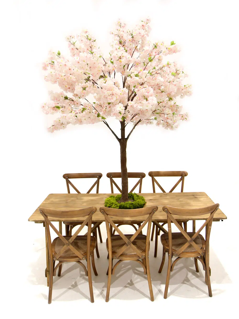 SN5257_Table Top Tree - Pink Cherry Blossom_