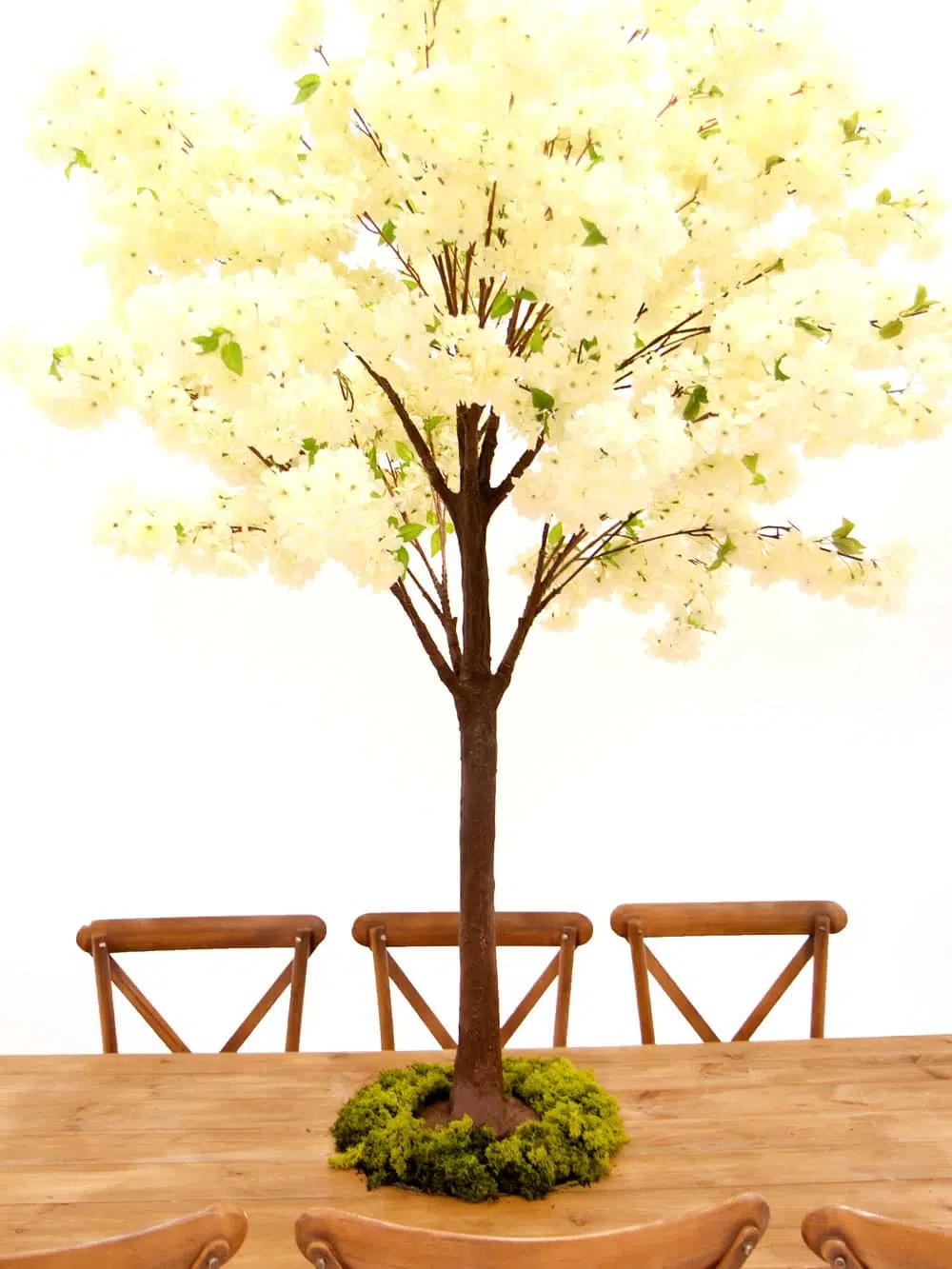SN5258_Table Top Tree - Cream Cherry Blossom_ (1)