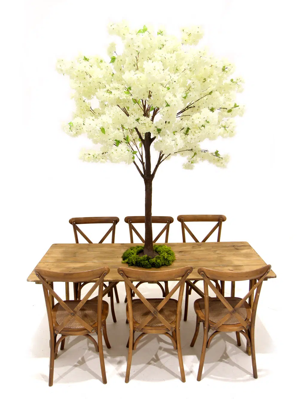 SN5258_Table Top Tree - Cream Cherry Blossom_