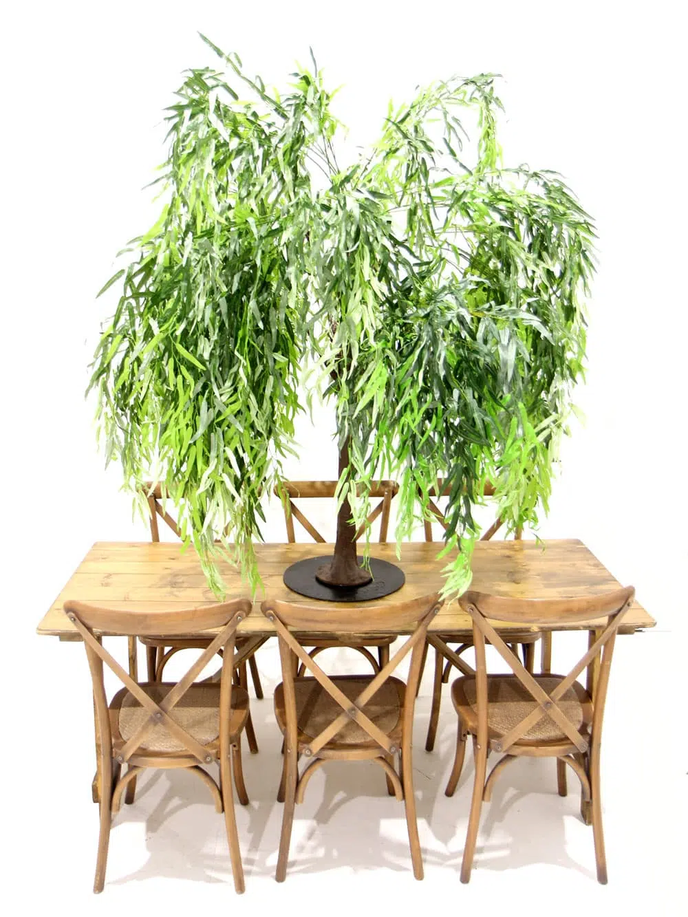 SN5259_Table Top Tree - Weeping Willow_ (1)