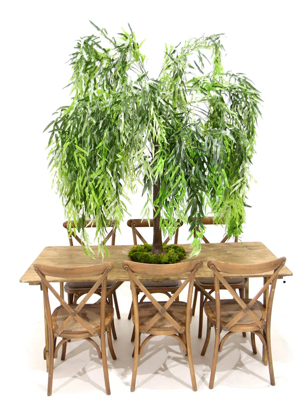 SN5259_Table Top Tree - Weeping Willow_