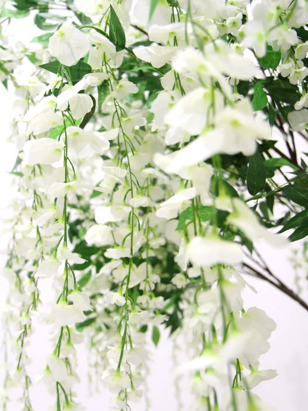 SN5260_Table Top Tree - Wisteria Long Flower_ (1)