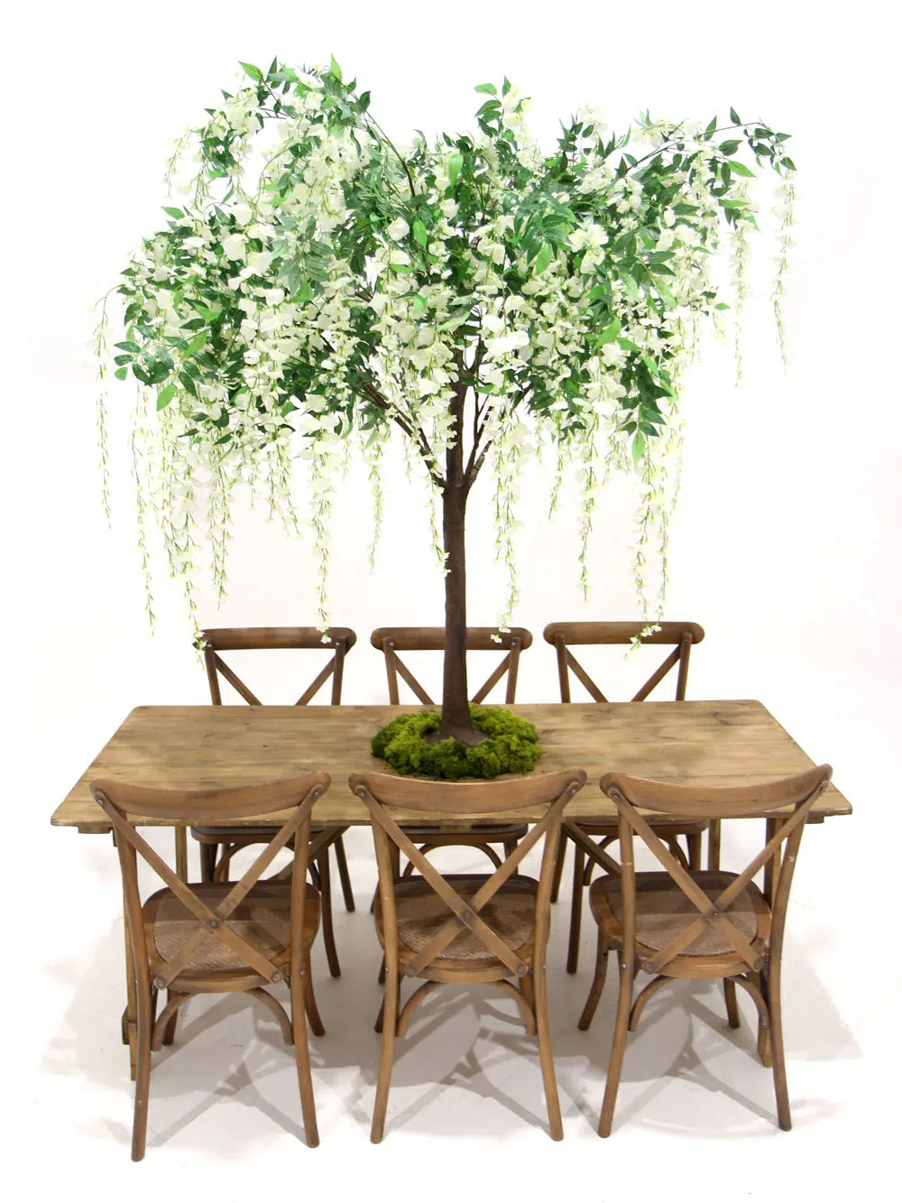 SN5260_Table Top Tree - Wisteria Long Flower_