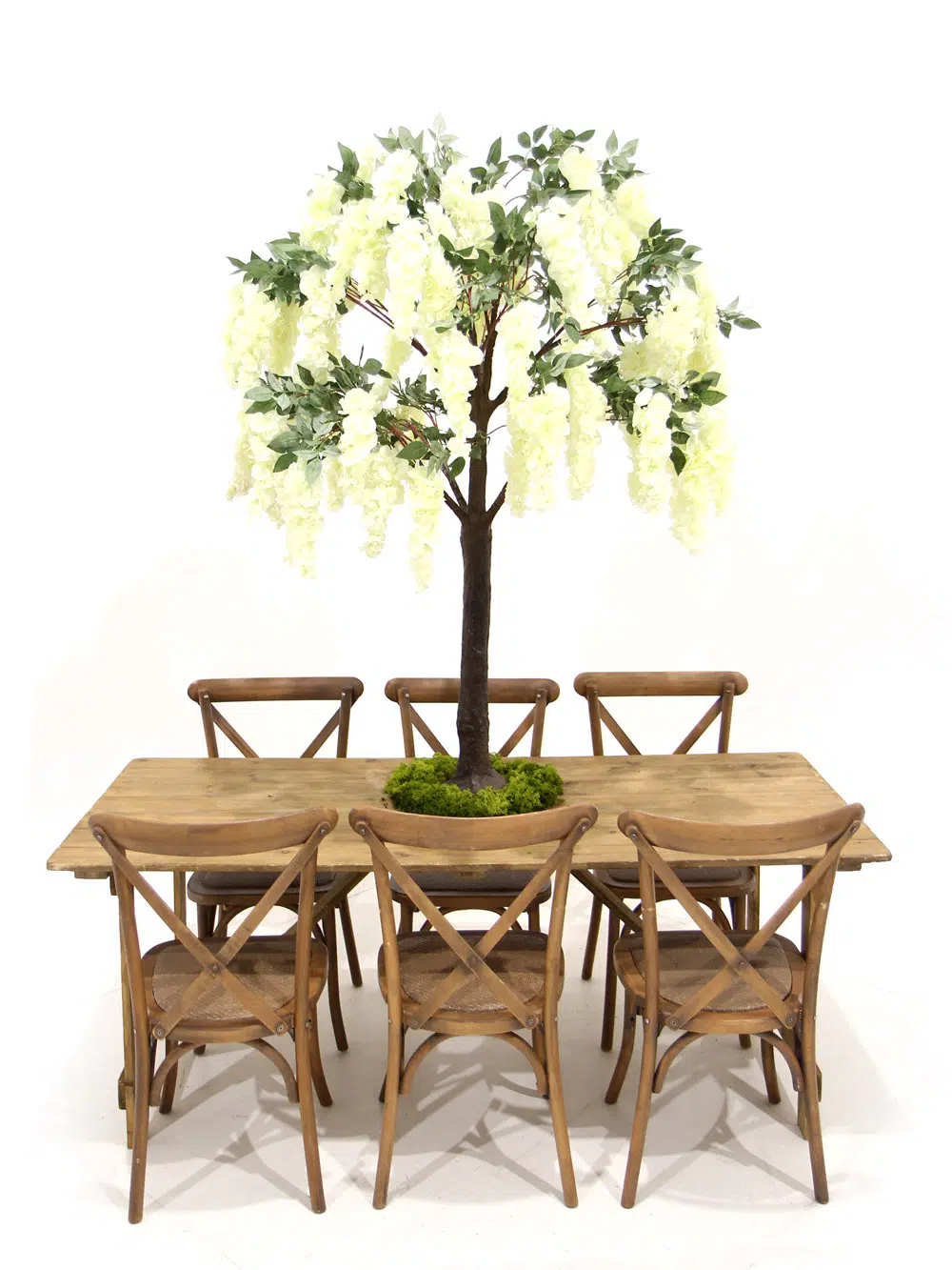 SN5261_Table Top Tree - Wisteria Flower Cluster_