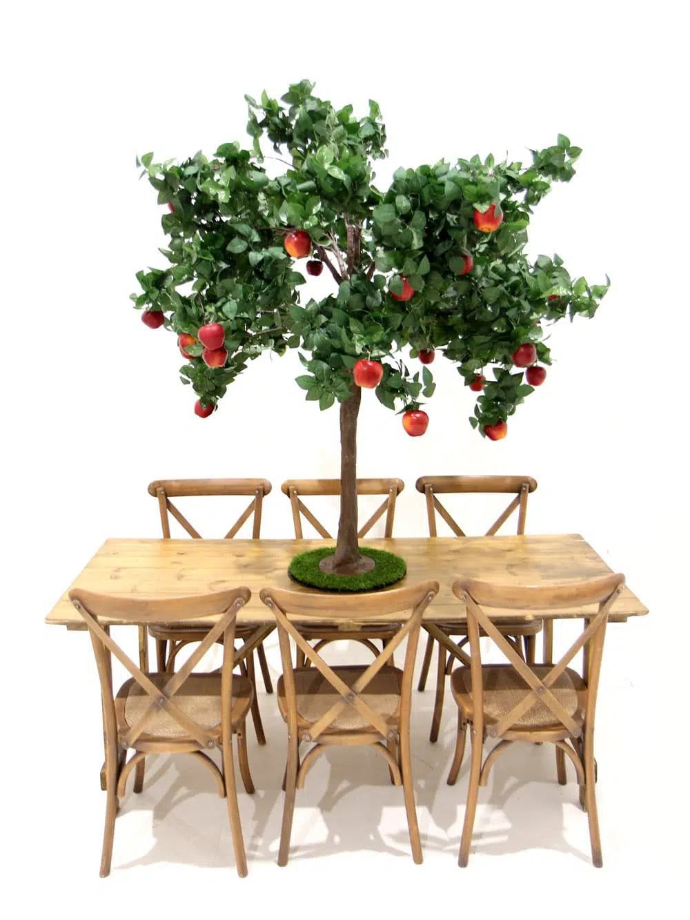SN5262_Table Top Tree - Apple_ (1)