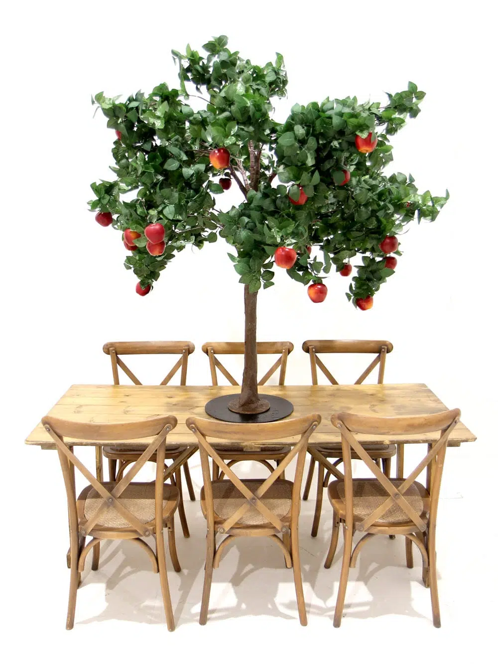 SN5262_Table Top Tree - Apple_ (2)