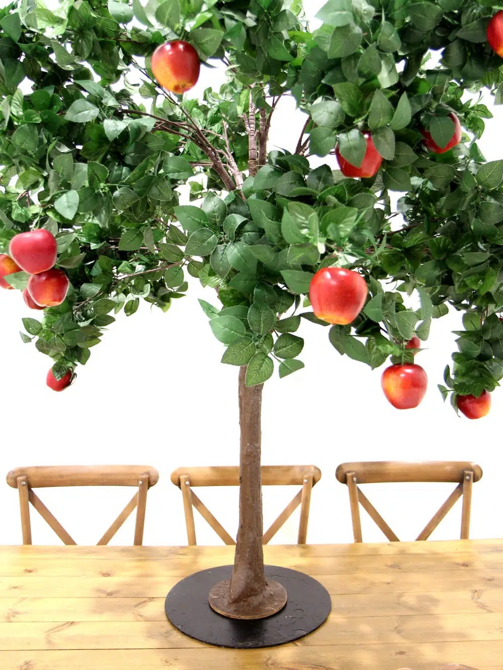 SN5262_Table Top Tree - Apple_ (4)
